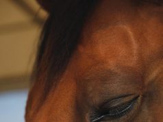 How to Avoid Burnout with Your Fitness Routine How to Avoid Burnout with Your Fitness Routine