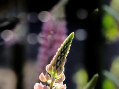 How to Ensure Youre Getting Enough Vitamins and Minerals How to Ensure Youre Getting Enough Vitamins and Minerals