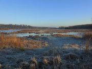 How to Create a Safe Home Environment for Seniors How to Create a Safe Home Environment for Seniors