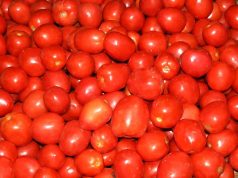 Best Tips for Building a Nutrient Dense Plate Best Tips for Building a Nutrient Dense Plate