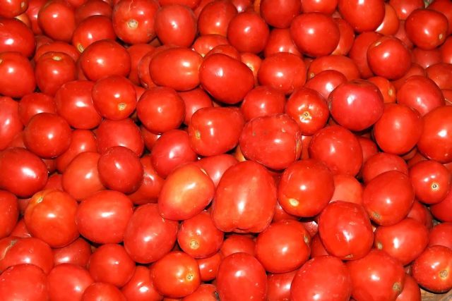 Best Tips for Building a Nutrient Dense Plate