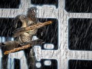 How to Improve Sleep Quality in Older Adults How to Improve Sleep Quality in Older Adults