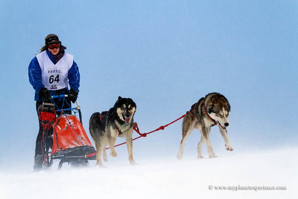 Understanding Your Nutritional Needs Amidst a Hectic Lifestyle