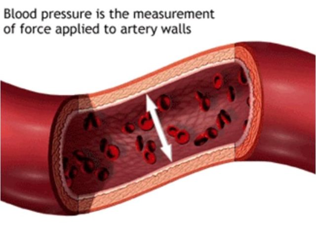 The Best Home Blood Pressure Monitors for Health Tracking