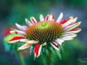 Self care tips to improve mental health Self care tips to improve mental health