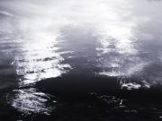 The Importance of Water for Balanced Nutrition The Importance of Water for Balanced Nutrition