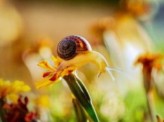 The Best Core Workouts for a Stronger Body The Best Core Workouts for a Stronger Body