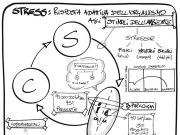 Simple tips to manage stress with guided imagery Simple tips to manage stress with guided imagery