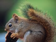 How to Ensure Youre Getting Enough Fiber Every Day How to Ensure Youre Getting Enough Fiber Every Day