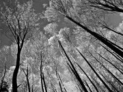 The Benefits of Sound Healing for Mental Clarity The Benefits of Sound Healing for Mental Clarity