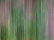 The Best Stretching Techniques for Recovery The Best Stretching Techniques for Recovery