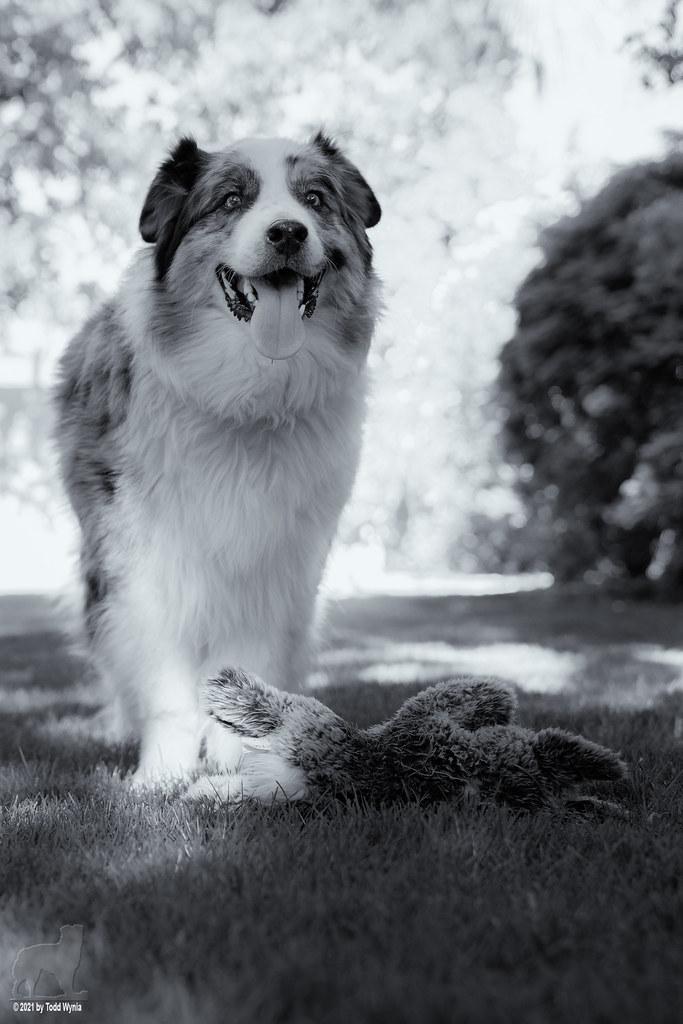 Exploring the Psychological Benefits of High Intensity Interval Training