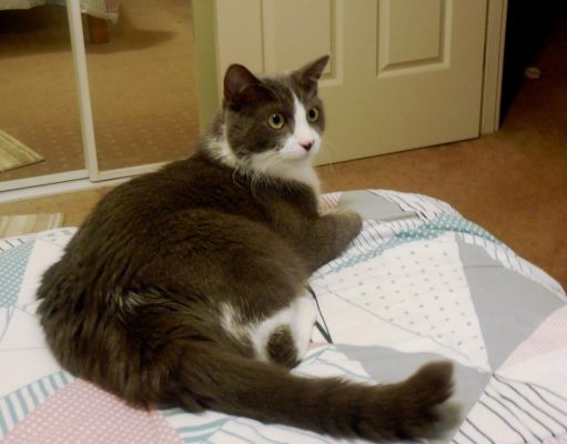 Best Practices for Preventing Senior Isolation Best Practices for Preventing Senior Isolation