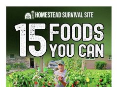 How to practice mindful eating with simple tips How to practice mindful eating with simple tips