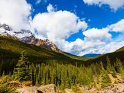 Nature therapy tips for reducing stress Nature therapy tips for reducing stress