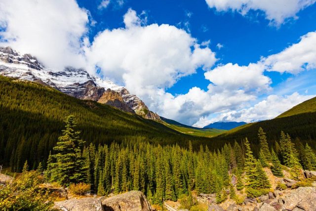 Nature therapy tips for reducing stress