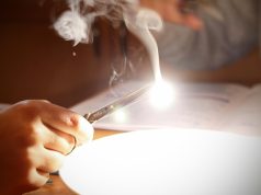 The Importance of Magnesium for Muscle Function The Importance of Magnesium for Muscle Function