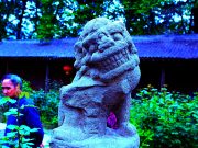 Cognitive reframing tips for stopping negative thoughts Cognitive reframing tips for stopping negative thoughts