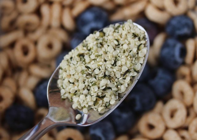Best Foods for Supporting Brain Health and Focus