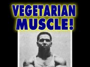 Best PlantBased Protein Supplements for Vegans Best PlantBased Protein Supplements for Vegans