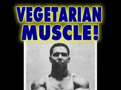 Best PlantBased Protein Supplements for Vegans Best PlantBased Protein Supplements for Vegans