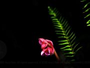 How to Support Seniors with Vision and Hearing Loss How to Support Seniors with Vision and Hearing Loss