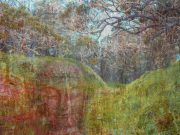 Guided meditation tips for instant mental calm Guided meditation tips for instant mental calm