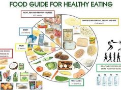 How to Build a Healthy Diet Plan for Beginners How to Build a Healthy Diet Plan for Beginners