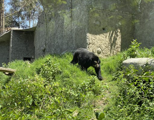 Best Tips for Managing Stress During Pregnancy Best Tips for Managing Stress During Pregnancy