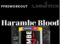 The Best PreWorkout Supplements for Energy and Focus The Best PreWorkout Supplements for Energy and Focus