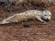 Tips for setting healthy boundaries to protect your mind Tips for setting healthy boundaries to protect your mind