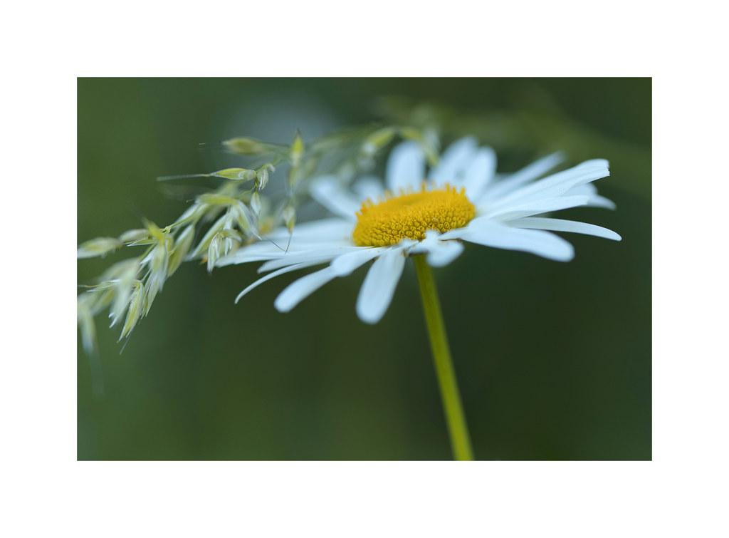 Building Emotional Endurance Through Mindfulness‍ and Reflection
