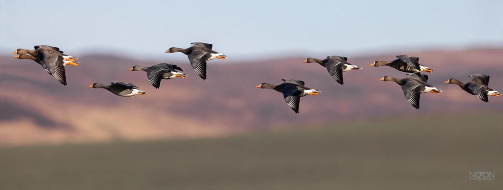 How Rest Days Enhance Your Overall Fitness and Performance