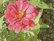 Best Holistic Practices for Reducing Stress Best Holistic Practices for Reducing Stress