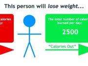 How to Create a Calorie Deficit for Weight Loss How to Create a Calorie Deficit for Weight Loss