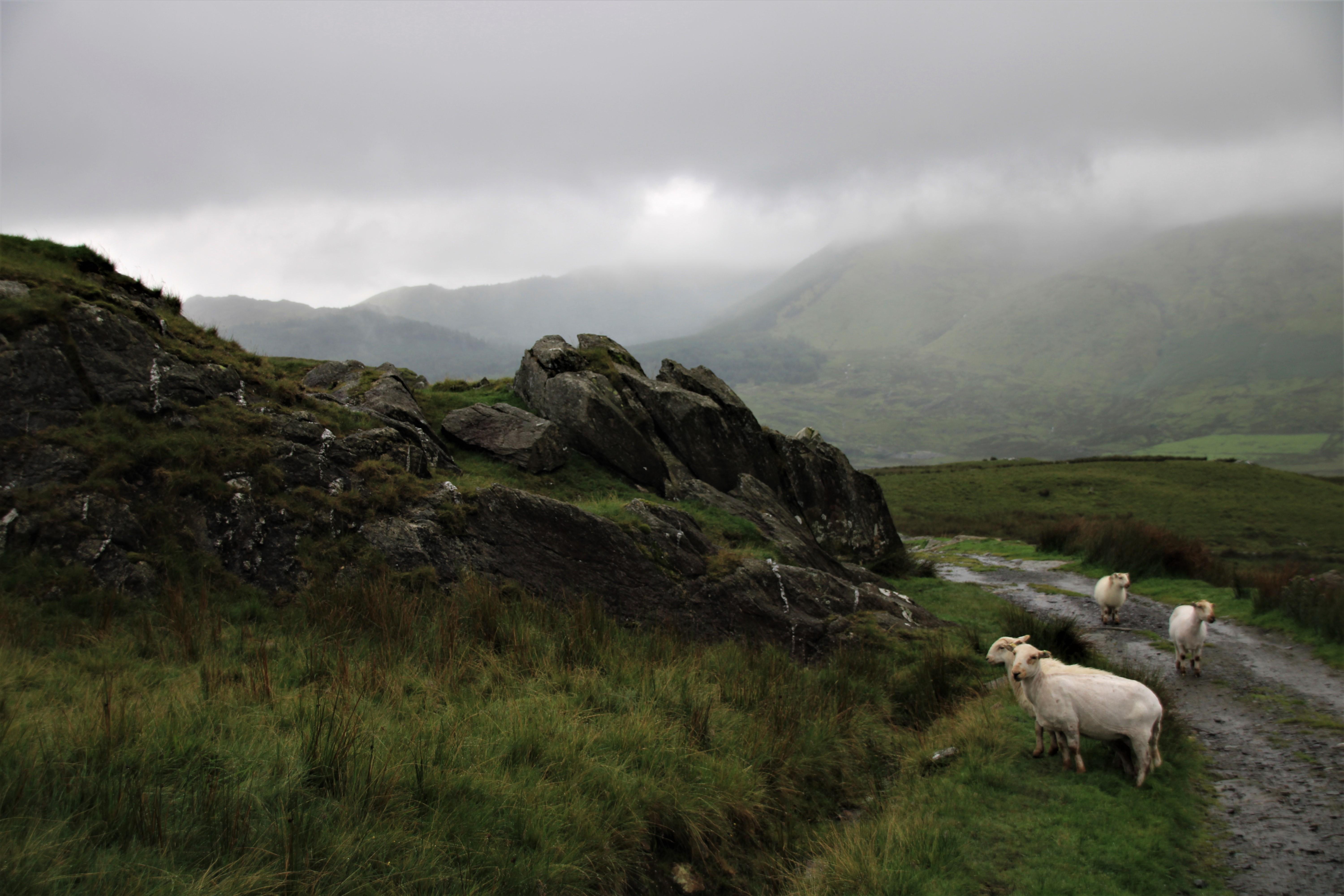 Practical Rest Strategies‍ for Each Trimester of Pregnancy