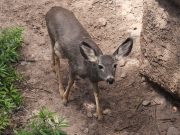 How to Create a High Fiber Diet Plan for Better Digestion How to Create a High Fiber Diet Plan for Better Digestion