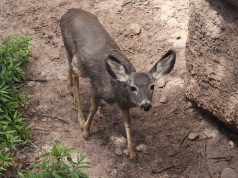 How to Create a High Fiber Diet Plan for Better Digestion How to Create a High Fiber Diet Plan for Better Digestion