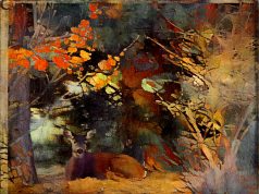 The Importance of Rest Days in a Workout Routine The Importance of Rest Days in a Workout Routine