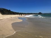 Top Supplements for Promoting Healthy Skin Top Supplements for Promoting Healthy Skin