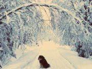 How to Balance Physical and Mental Health as a New Mom How to Balance Physical and Mental Health as a New Mom