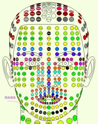 Empowering Your Healing Process: How Acupuncture Complements Modern Medicine