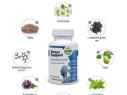 Best LTheanine Supplements for Stress Relief Best LTheanine Supplements for Stress Relief