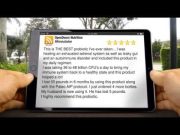 Top 5 Probiotic Strains for Gut Health Top 5 Probiotic Strains for Gut Health