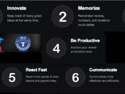 Top Supplements for Supporting Brain Health Top Supplements for Supporting Brain Health