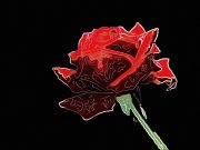 How to Stay Committed to a Long Term Fitness Plan How to Stay Committed to a Long Term Fitness Plan