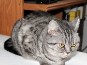 How to create a healthy mental routine with these tips How to create a healthy mental routine with these tips