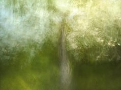 The Power of Intentional Breathing for Reducing Anxiety The Power of Intentional Breathing for Reducing Anxiety