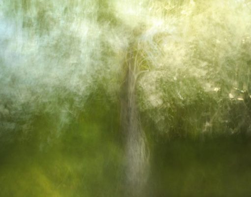 The Power of Intentional Breathing for Reducing Anxiety The Power of Intentional Breathing for Reducing Anxiety