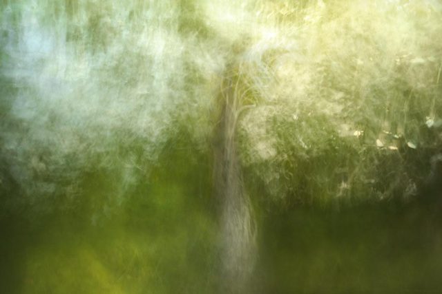 The Power of Intentional Breathing for Reducing Anxiety